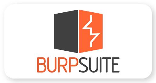 Burp Suite Icon