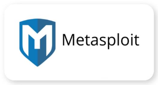 Metasploit Icon